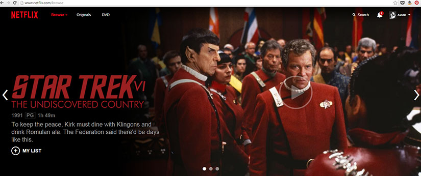 Netflix-ST-VI-Description